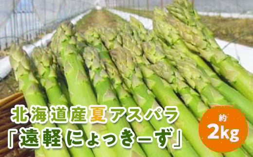 2025年夏アスパラ2kg ( ふるさと納税 アスパラガス グリーンアスパラ 野菜 健康食材 天ぷら 炒め物 パスタ サラダ 大容量 北海道 遠軽町 えんゆう農業協同組合 ) en01-00007