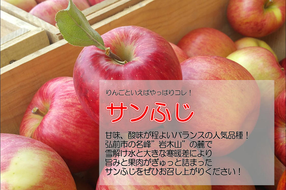 りんご 訳あり家庭用【26年3月出荷】白熊 サンふじ 約5kg（14〜20玉程度）糖度13度