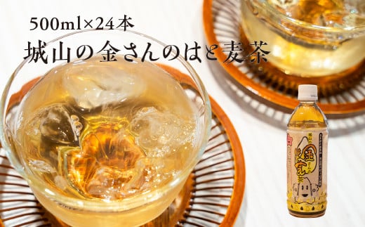 城山の金さんのはと麦茶 500ml×24本 ｜ お茶 麦茶 はと麦 ペットボトル ノンカフェイン 飲料【wakuyakousya008】