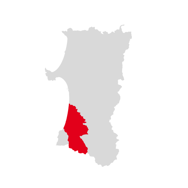 秋田県由利本荘市