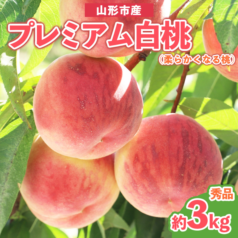 プレミアム白桃 秀品 約3kg (5～14玉) [柔らかくなる桃] FY25-199