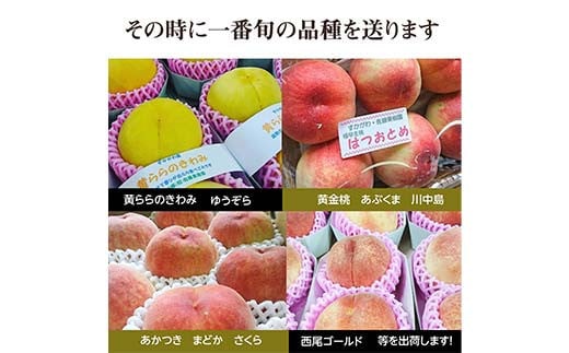桃 品種おまかせ 5kg 13～18個 もも 贈答 プレゼント ＜佐藤果樹園＞ モモ 桃 デザート フルーツ 果物 F7X-0282