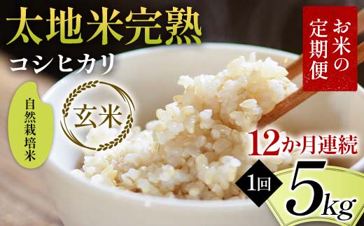 お米の定期便 自然栽培米 太地米完熟 【こしひかり】 玄米5kg×12か月連続 ブランド米 お米 人気 F7X-0451