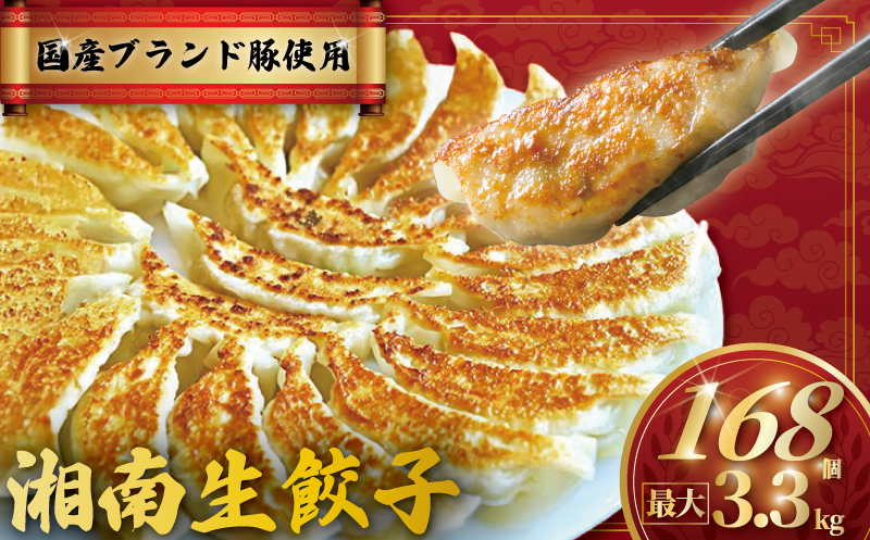餃子 湘南ぎょうざ 168個 (42個×4パック)  国産 ブランド豚 ルイビ豚 肉汁たっぷり 豚肉 焼き餃子 ぎょーざ ギョーザ ぎょうざ 冷凍餃子 こだわり餃子 生餃子 ごはんのお供 晩酌のお供 簡単調理 時短 冷凍 小分け 簡易包装 手作り餃子 冷凍食品 湘南ぎょうざのサノフーズ 神奈川 湘南 藤沢
