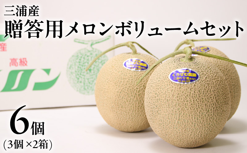 贈答用メロン ボリュームセット　M001-006