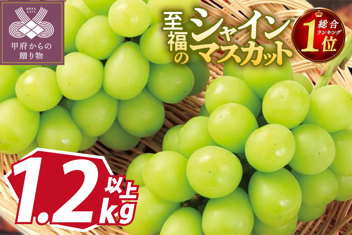 〈2025年度配送分〉至福の山梨県産シャインマスカット 2～3房（1.2kg以上）