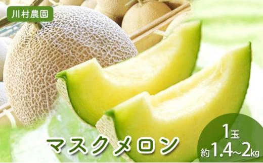 【静岡・三保松原の甘い誘惑マスクメロン】甘さあふれる！マスクメロン 1玉（約1.4kg～2kgサイズ）