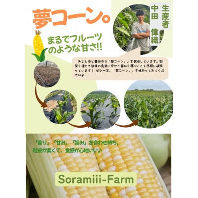 【2025年先行受付】愛知県みよし市産 朝採り「夢コーン。」 Lサイズ　40本セット　数量限定【配送不可地域：離島・沖縄県】【1623768】
