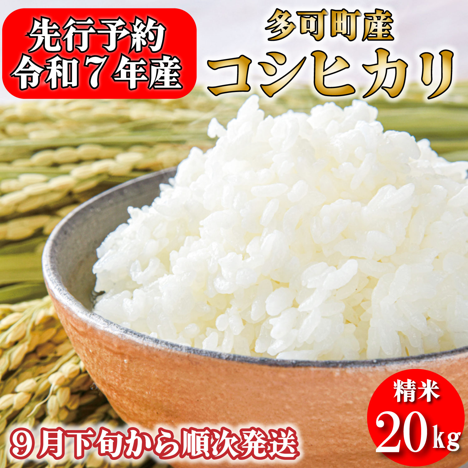 新米予約 令和７年産 お米 20kg 5kg×4 コシヒカリ 精米 兵庫県多可町産 [1221]