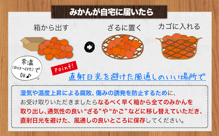 【訳あり/サイズ不選別】 和歌山みかん 約5kg 和歌山県産 《11月中旬から1月中旬に出荷予定(土日祝除く)》たっぷり ご家庭用 2L〜2S 産地直送 みかん 旬 蜜柑 ミカン 柑橘 果物 フルーツ 和歌山県 紀の川市(F-5)