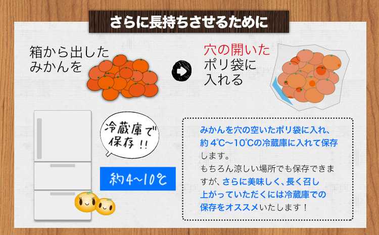 【訳あり/サイズ不選別】 和歌山みかん 約5kg 和歌山県産 《11月中旬から1月中旬に出荷予定(土日祝除く)》たっぷり ご家庭用 2L〜2S 産地直送 みかん 旬 蜜柑 ミカン 柑橘 果物 フルーツ 和歌山県 紀の川市(F-5)