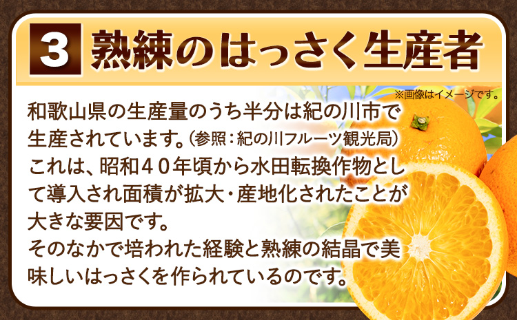 訳あり サイズ不選別 早生･晩生指定不可 はっさく 約9kg (4L~Sサイズ)《2026年2月上旬-3月中旬頃出荷》和歌山県 紀の川市 八朔 柑橘 果物 フルーツ ご家庭用 ビタミンC 果肉 みかん 王国よりお届け!（F）