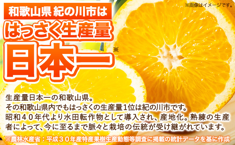 訳あり サイズ不選別 早生･晩生指定不可 はっさく 約9kg (4L~Sサイズ)《2026年2月上旬-3月中旬頃出荷》和歌山県 紀の川市 八朔 柑橘 果物 フルーツ ご家庭用 ビタミンC 果肉 みかん 王国よりお届け!（F-1）