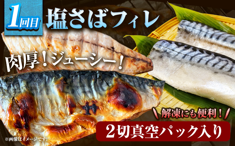 【定期便 全3回】 F サバフィレ 14枚 銀鮭切身 14枚 紅鮭切身 1kg 株式会社魚鶴商店《お申し込み月の翌月より出荷開始》 和歌山県 日高町 鮭 さけ 紅さけ 切り身 さば 塩さば 焼き魚 焼くだけ 簡単 魚 さかな(F)