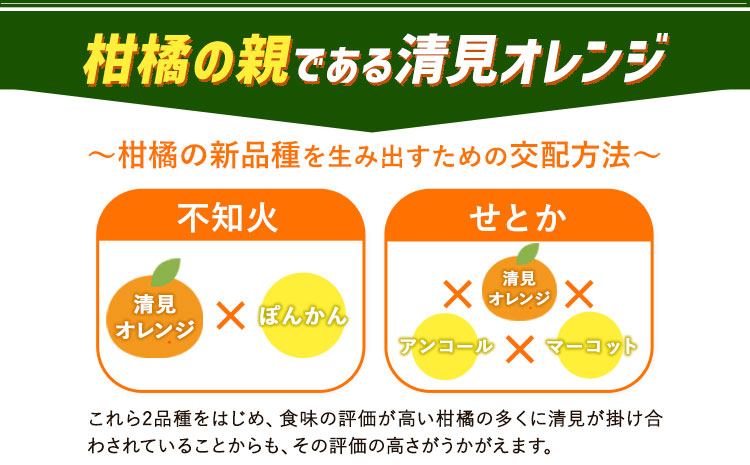 ＜先行予約＞とにかくジューシー 清見 オレンジ 5kg  株式会社魚鶴商店《2026年3月下旬-4月中旬頃出荷》和歌山県 日高町 柑橘 果物 フルーツ