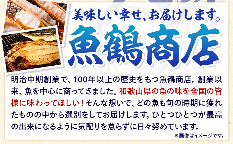 甘口塩銀鮭切身4切＆天然塩さばフィレ4枚 小分け 魚鶴《90日以内に出荷予定(土日祝除く)》和歌山県 日高町 甘口塩銀鮭 銀鮭 鮭 さけ 切り身 塩さば 鯖 さば フィレ(F)