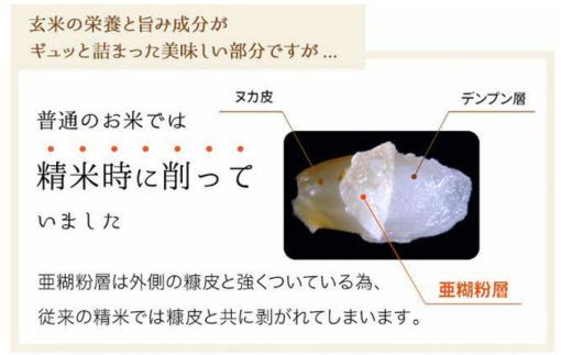 【先行受付】新米 令和7年産 BG無洗米・金芽米つや姫 5kg 計量カップ無し 【先行予約 新米予約 予約 時短 健康 特別栽培米 カロリーオフ うまみ 甘み 栄養 おいしい 粒ぞろい ふっくら ビタミン ミネラル 島根県 安来市】