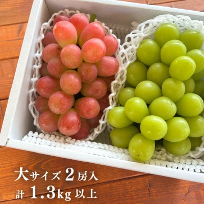 【きよとうファーム】シャインマスカット＆生産者いちおし葡萄 大サイズ2房入(岡山県産)【配送不可地域：離島】【1553232】