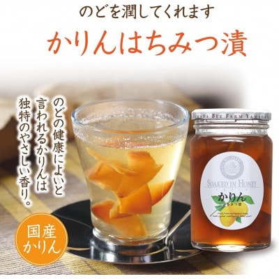かりんはちみつ漬450g(26235)【1608965】