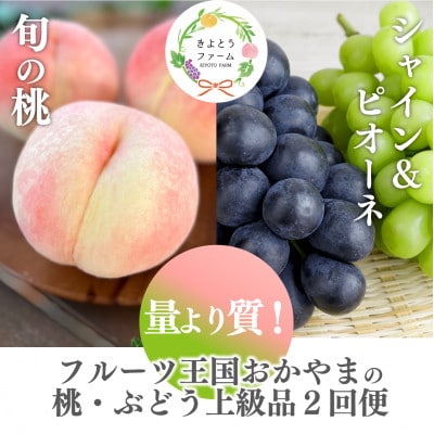 【発送月固定定期便】【きよとうファーム】量より質!桃とピオーネ＆シャインの定期便(岡山県産)全2回【配送不可地域：離島・北海道・沖縄県】【4067690】