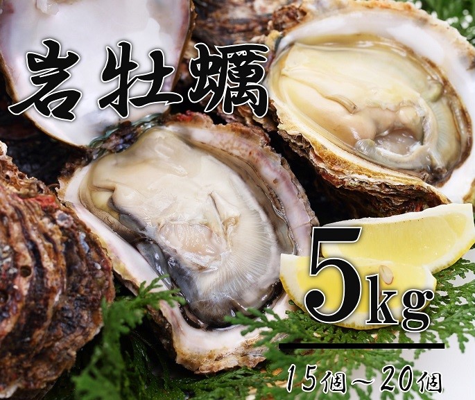 牡蠣 カキ 岩ガキ 岩がき 岩牡蠣 岩カキ 海のミルク 濃厚 クリーミー 夏バテ防止　5kg 焼き 蒸し 加熱 (1247)
