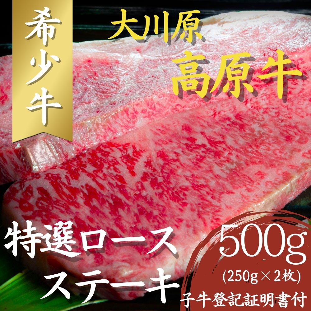 大川原高原牛 特選ロースステーキ 250g×2枚 計500g 冷凍便 肉の藤原 《30日以内に出荷予定(土日祝除く)》和牛 希少 大川原高原 牛肉 焼肉  ロース 牛肉 ステーキ 贅沢  バーベキュー BBQ  キャンプ ギフト 贈答 徳島県 佐那河内村 s-9