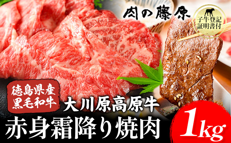大川原高原牛 赤身・霜降り焼肉用 1kg 株式会社肉の藤原《30日以内に出荷予定(土日祝除く)》徳島県 佐那河内村 和牛 希少 佐那河内 さなごうち 大川原高原 牛肉 焼肉 赤身 贅沢 あっさり バーベキュー BBQ 弁当 冷凍 ギフト 贈答 s-8