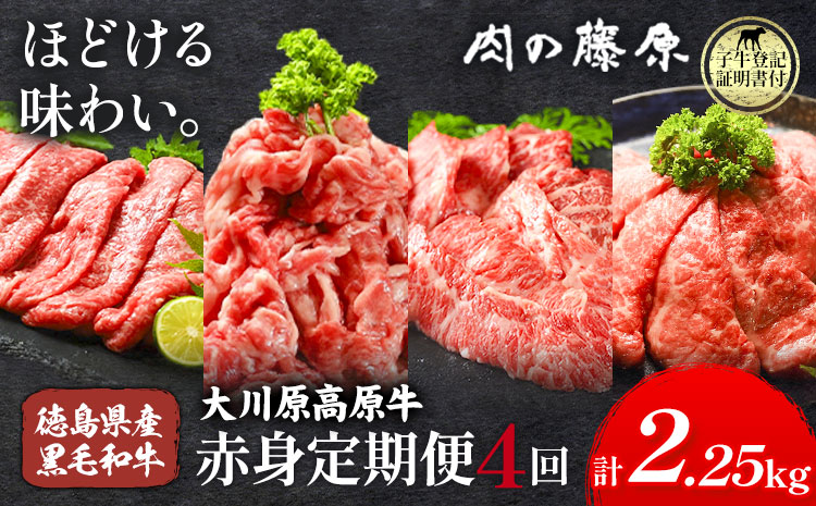 《定期便》全4回お届け！大川原高原牛　赤身(スライス・切り落とし・焼肉・しゃぶしゃぶ 各500gずつ) 株式会社肉の藤原 《お申込み月の翌月から出荷開始》牛肉 定期便 月1回 徳島県 佐那河内村５ s-9
