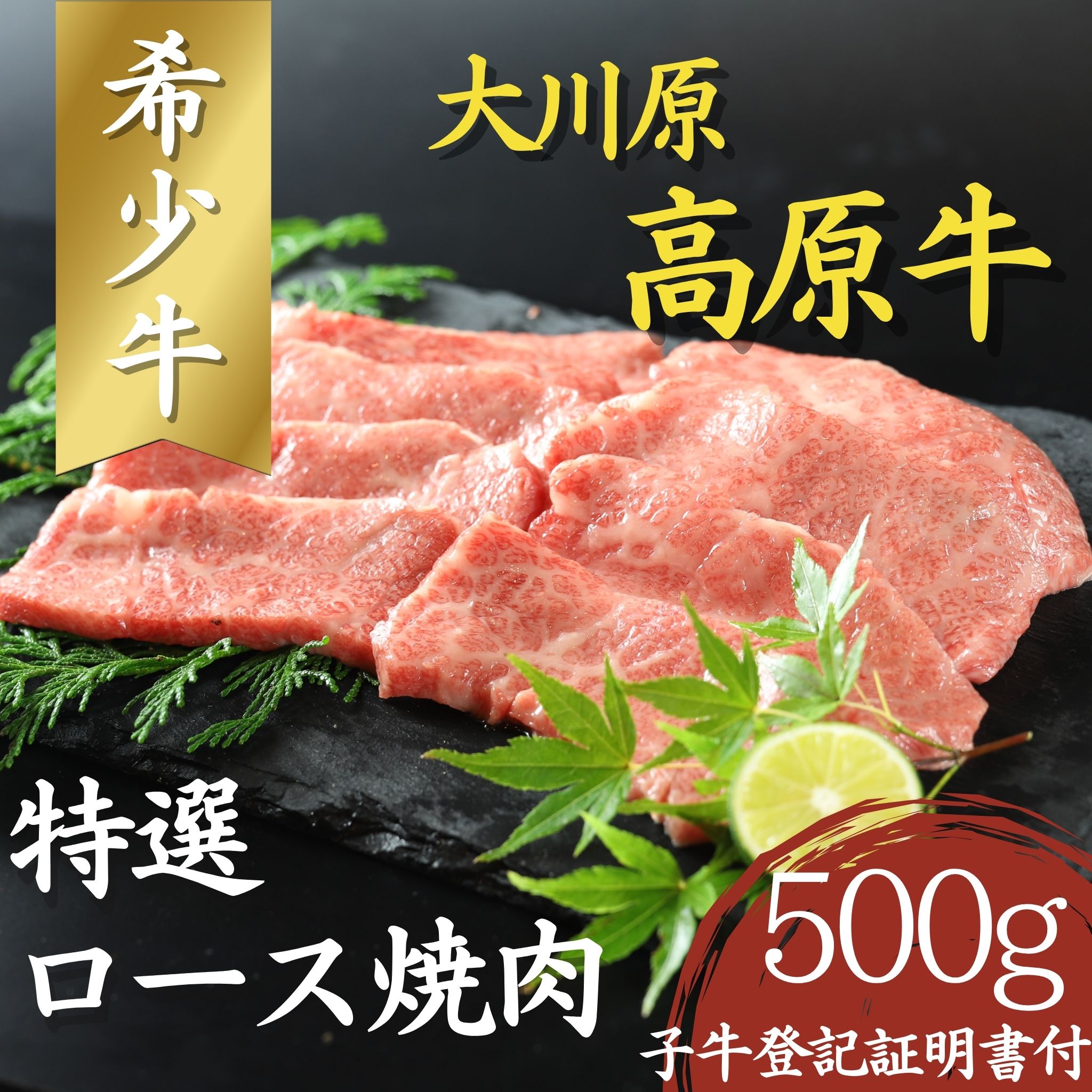 大川原高原牛 特選ロース 焼肉 500g 冷凍便 肉の藤原 《30日以内に出荷予定(土日祝除く)》和牛 希少 大川原高原 牛肉 焼肉  ロース  贅沢  バーベキュー BBQ  キャンプ ギフト 贈答 徳島県 佐那河内村 s-11