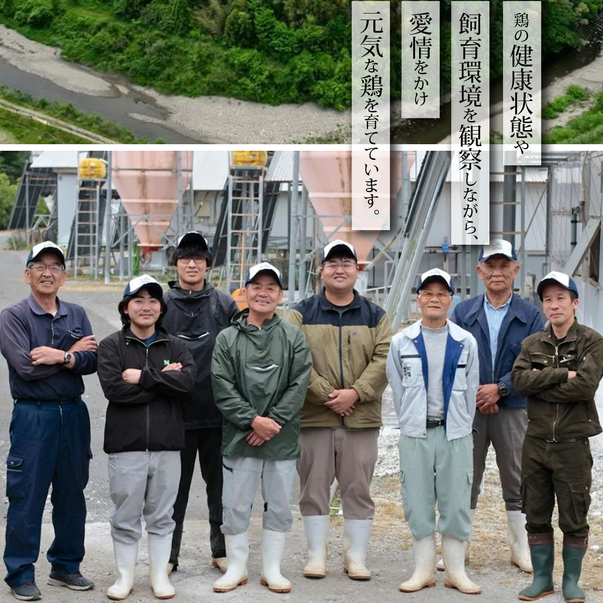 極上 阿波尾鶏 骨付地鶏カレー 30人前セット カレー レトルト 阿波尾鶏 30食入り 極上阿波尾鶏骨付地鶏カレー 徳島 地鶏 あわおどり