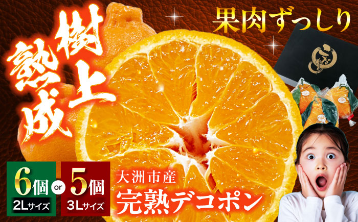 【先行予約】【3月下旬から順次発送】樹の上で熟成！愛媛県大洲市産「完熟デコポン」5〜6個　愛媛県大洲市/株式会社フジ・アグリフーズ [AGBA008] みかん 愛媛みかん 柑橘 果物 フルーツ