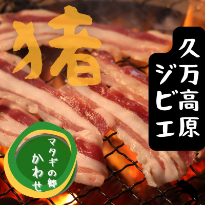ジビエ「イノシシ肉 部位別食べ比べセット(800g)」｜BBQ アウトドア キャンプ ヘルシー 猪肉 モモ カタ ばら ロース バーベキュー 愛媛 久万高原町 ※離島への配送不可