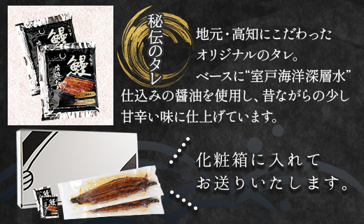 【６回定期便】国産養殖うなぎ蒲焼き 約200g×３尾(愛知県産鰻) うなぎ 魚介 国産 海鮮 魚 かばやき 鰻 ウナギ 惣菜 おかず お手軽 加工品 加工食品 冷凍 Wfb-0079