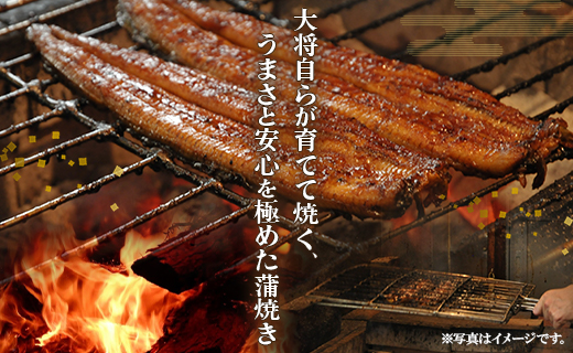 うなぎ 定期便 3回 うなぎ 蒲焼き 白焼き セット 120g 各2尾(無頭) 魚介 国産 海鮮 魚 かばやき 鰻 ウナギ 惣菜 おかず お手軽 しらやき 加工品 加工食品 冷凍  Wun-0056