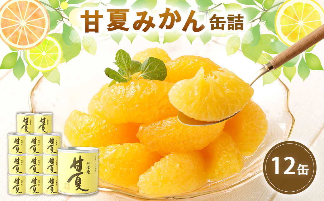 缶詰 甘夏みかん缶詰（全粒）12缶入