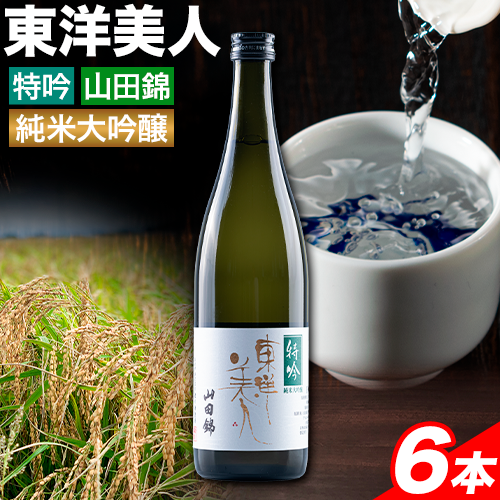 日本酒 新酒 東洋美人 特吟 山田錦 純米大吟醸 6本 計4320ml 1本あたり 720ml 福岡吟醸倶楽部株式会社《30日以内に出荷予定(土日祝除く)》福岡県 鞍手郡 鞍手町 酒 熱燗 送料無料
