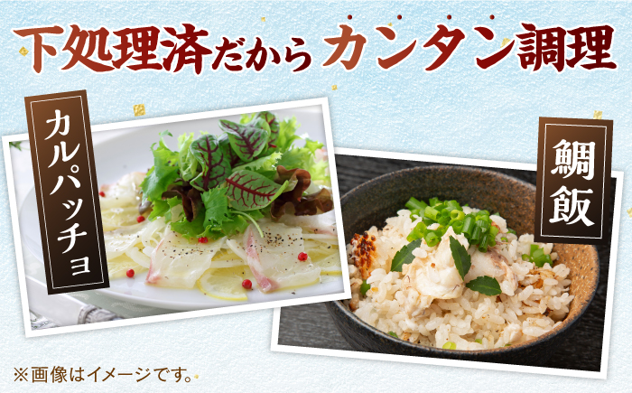 タイ 平戸 なつ香 丸々1匹（約2kg）【（株）坂野水産】[KAA002]/ 長崎 平戸 魚介類 魚 鯛 タイ たい 内臓処理済 レシピ 刺身 たたき 刺身 塩焼き 刺身 漬け丼 刺身 しゃぶしゃぶ 刺身 アレンジ 刺身 冷蔵 刺身 国産 刺身 長崎 刺身 長崎 平戸 魚介類 魚 鯛 タイ たい 内臓処理済 レシピ 刺身 たたき 刺身 塩焼き 刺身 漬け丼 刺身 しゃぶしゃぶ 刺身 アレンジ 刺身 冷蔵 刺身 国産 刺身 長崎 刺身 