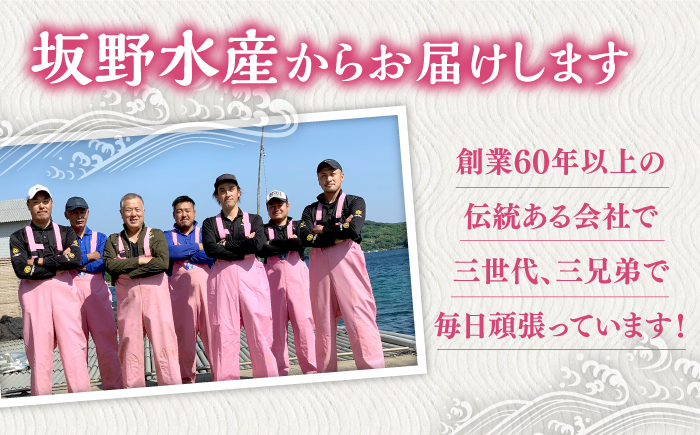 タイ 平戸 なつ香 丸々1匹（約2kg）【（株）坂野水産】[KAA002]/ 長崎 平戸 魚介類 魚 鯛 タイ たい 内臓処理済 レシピ 刺身 たたき 刺身 塩焼き 刺身 漬け丼 刺身 しゃぶしゃぶ 刺身 アレンジ 刺身 冷蔵 刺身 国産 刺身 長崎 刺身 長崎 平戸 魚介類 魚 鯛 タイ たい 内臓処理済 レシピ 刺身 たたき 刺身 塩焼き 刺身 漬け丼 刺身 しゃぶしゃぶ 刺身 アレンジ 刺身 冷蔵 刺身 国産 刺身 長崎 刺身 
