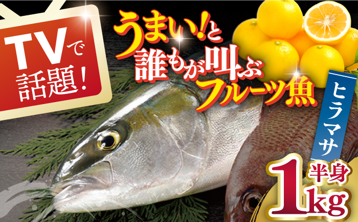 ヒラマサ 半身 平戸なつ香 ヒラス 約1kg【（株）坂野水産】[KAA207]/ 長崎 平戸 魚介類 魚 ヒラス ひらす 内臓処理済 レシピ ヒラマサ ひらまさ 刺身 たたき 刺身 塩焼き 刺身 漬け丼 刺身 しゃぶしゃぶ 刺身 アレンジ 刺身 冷蔵 刺身 国産 刺身 長崎 刺身 長崎 平戸 魚介類 魚 ヒラス ひらす 内臓処理済 レシピ ヒラマサ ひらまさ 刺身 たたき 刺身 塩焼き 刺身 漬け丼 刺身 しゃぶしゃぶ 刺身 アレンジ 刺身 冷蔵 刺身 国産 刺身 長崎 刺身 