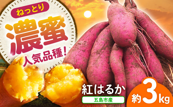 島の元気なさつまいも!ねっとり甘い『紅はるか』3kg 五島市/あわたに農園 [PGO001]