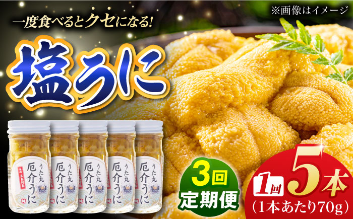 【全3回定期便】厄介うに ガンガゼの塩うに 70g×5本 / ウニ 雲丹 五島市 / うた丸 [PGA006]