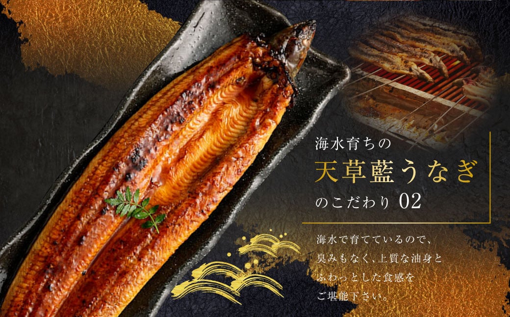【ミシュラン星付きのプロが愛用】1日10セット限定！海水育ちの天草藍うなぎ 蒲焼き 1尾セット【合計約200g】 数量限定!! 鰻 ウナギ うなぎ うなぎ蒲焼 鰻の蒲焼 うなぎ 国産