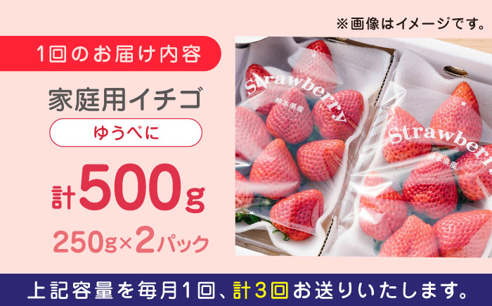 【全3回定期便】熊本県産 ゆうべに いちご  セット 250g×2P 農園直送 産地直送 山都町産【なかはた農園】[YBI045]