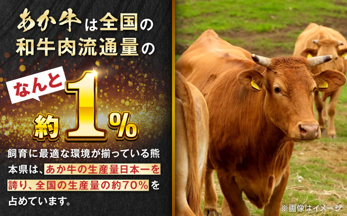 【全6回定期便】熊本和牛あか牛ホルモン 1kg 【有限会社 三協畜産】 [YCG174]