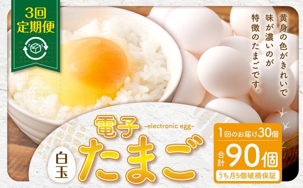 AS-469 【3ヶ月定期便】 電子たまご（白玉） 合計90個（30個×3回） 卵 たまご 白玉 定期