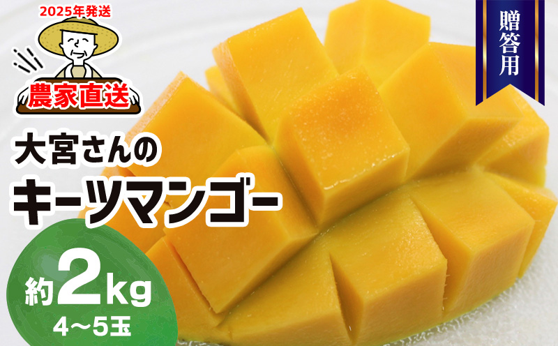 【2025年発送】農家直送！大宮さんのキーツマンゴー 贈答用 約2kg フルーツ 果物 デザート 果実 大玉 濃厚 甘い スムージー アイス プリン ヨーグルト ケーキ 贈り物 ギフト お中元 希少 幻のマンゴー 久米島 沖縄 南国